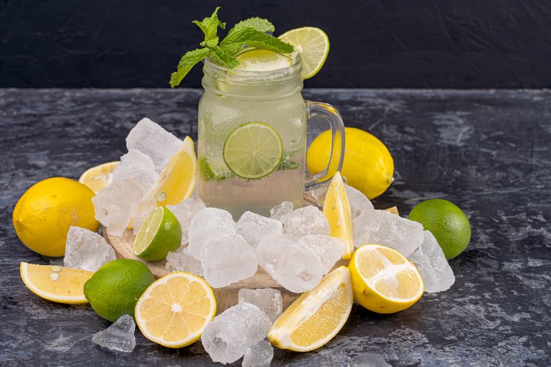 Limeade Drink Costa Vida
